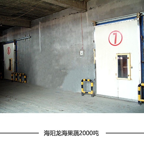 電動(dòng)冷庫門(mén)