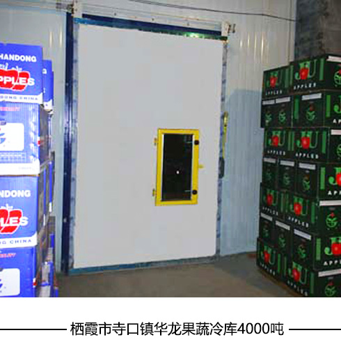 電動(dòng)冷庫門(mén)